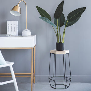 Miz 1 Piece 19.7" H Solid Wood Coffee Table End Sofa Side Snack Accent Table Modern metal Wooden Hexagon Plant Stand